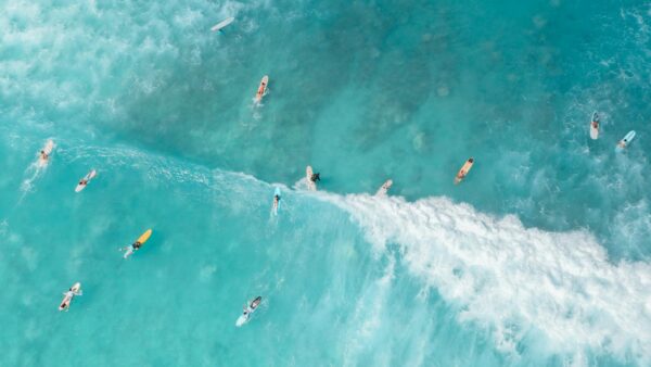 A group of surfers navigates crystal clear turquoise waves from an aerial perspective.